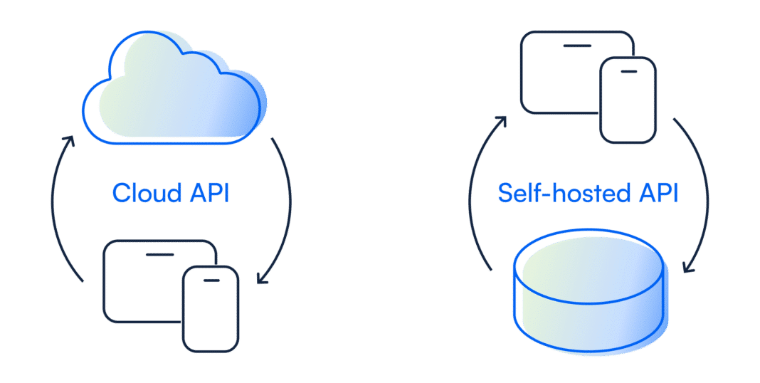 illustrations for cloud API and self-hosted api