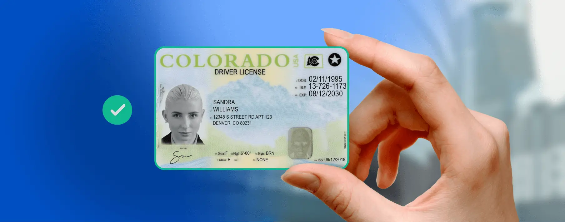 Hand holding verified driver's license identity document.