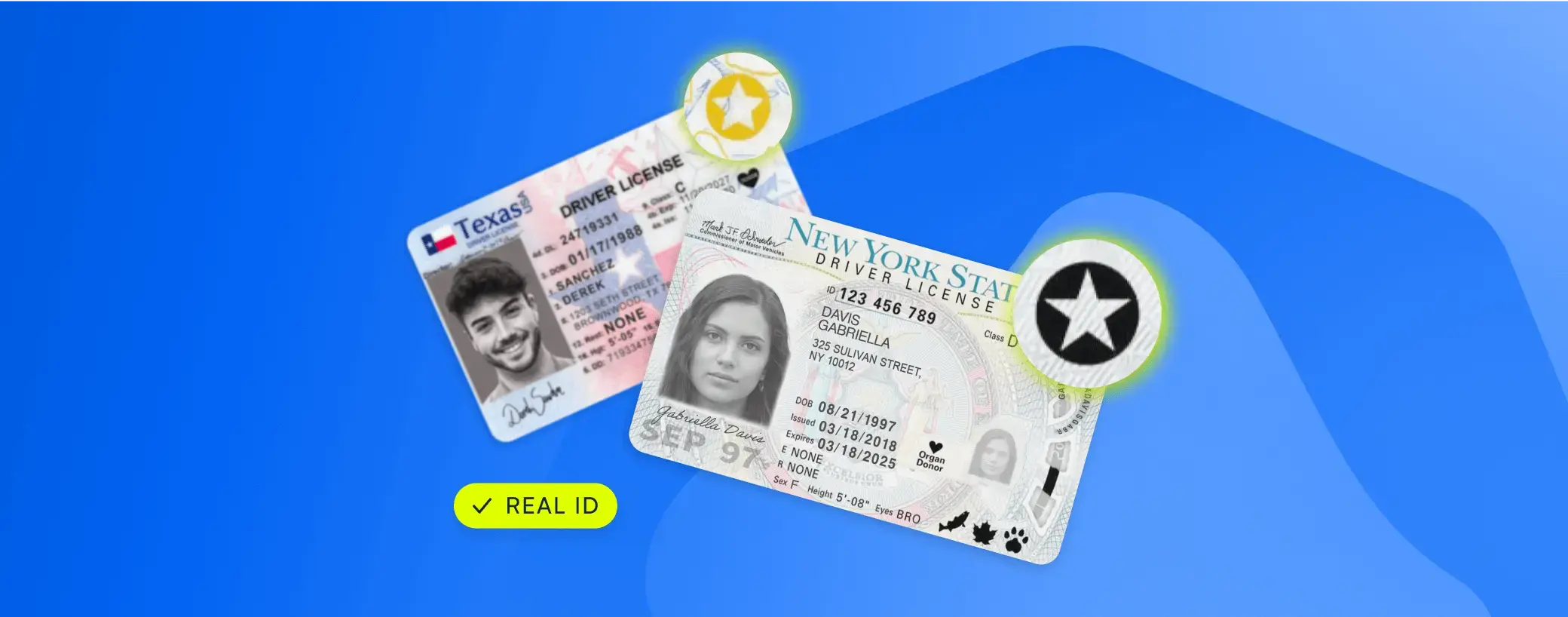 Two ID cards with the 'RealID' label, as if they have been scanned