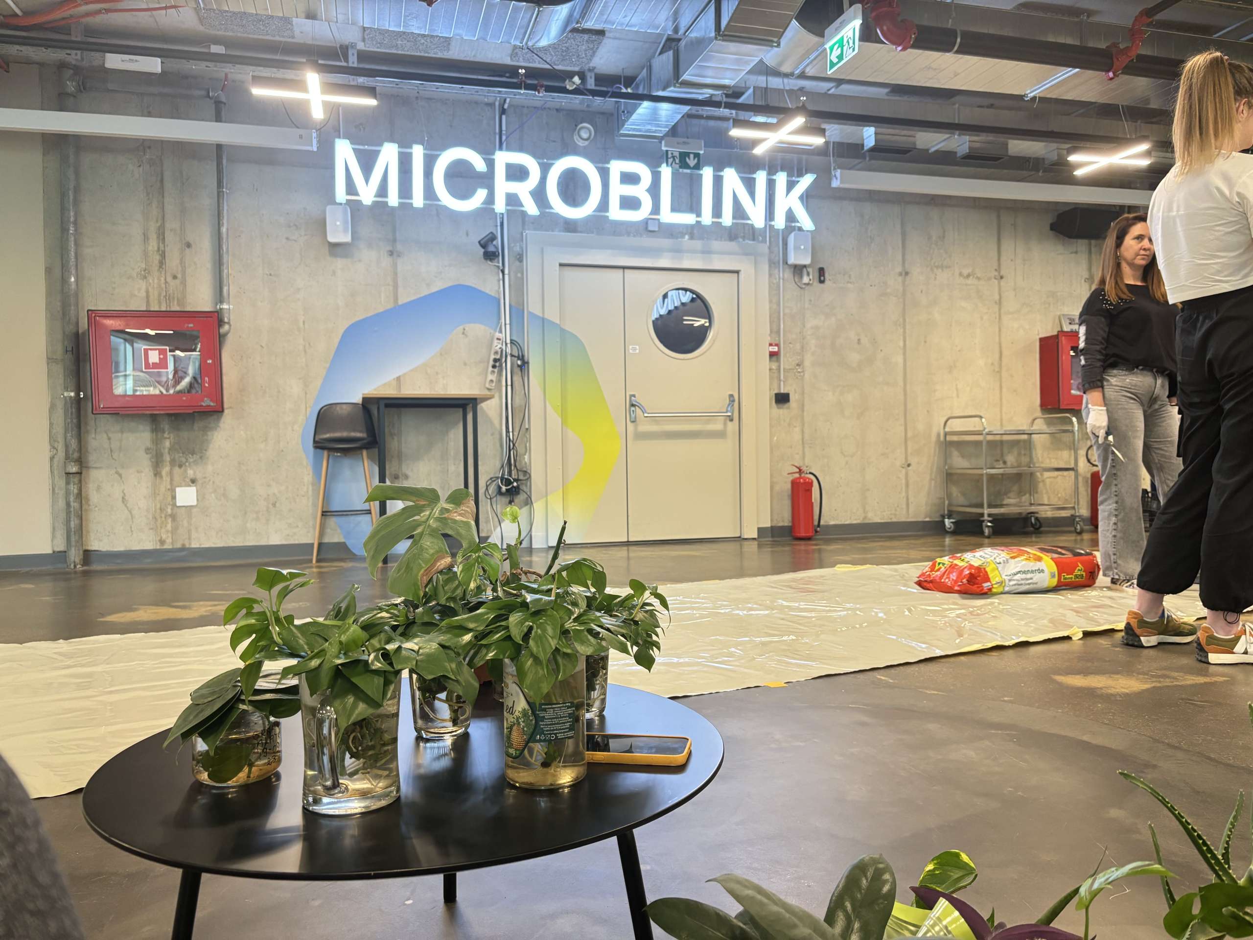 Microblink employees planting plants, engaging in a team-building activity focused on sustainability