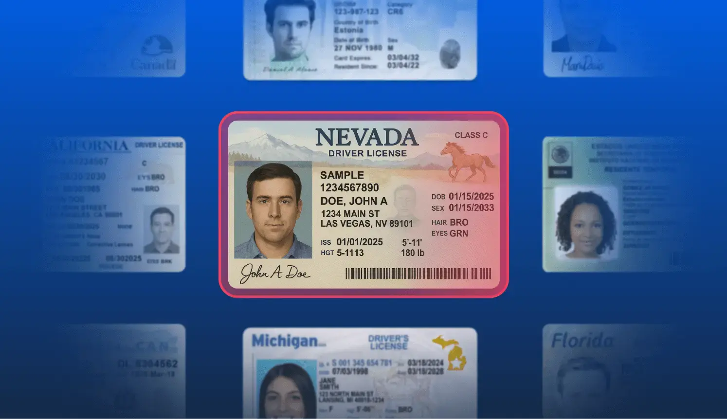 Multiple ID cards, with highlighted Nevada ID card in the middle
